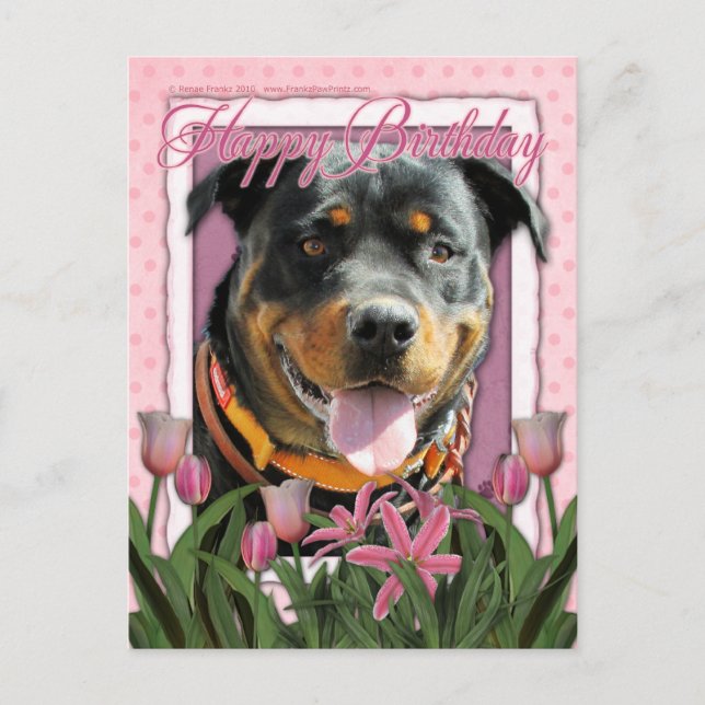 Alles Gute zum Geburtstag - Rottweiler - SambaParT Postkarte (Vorderseite)