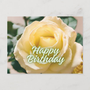 Alles Gute zum Geburtstag Schöne Hellgelbe Rose  Postkarte