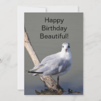 Alles Gute zum Geburtstag Schöne' Tauben-Grußkarte