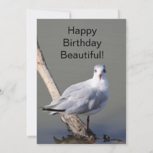Alles Gute zum Geburtstag Schöne' Tauben-Grußkarte Karte