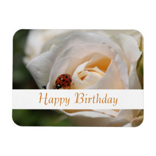 Alles Gute zum Geburtstag. Schöne weiße Rosenblume Magnet