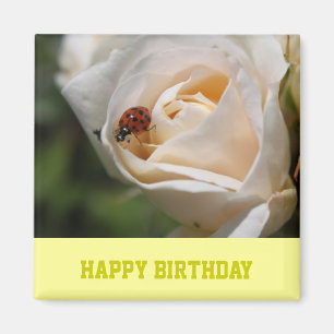 Alles Gute zum Geburtstag. Schöne weiße Rosenblume Magnet
