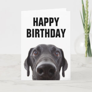 Alles Gute zum Geburtstag   Schwarzer Labrador Karte