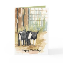 Alles Gute zum Geburtstag Schweine Barnyard Farmti