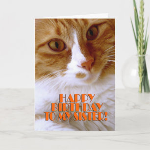 Alles Gute zum Geburtstag Schwester - Süße Katze Karte