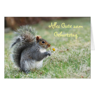 Alles Gute zum Geburtstag Squirrel Card
