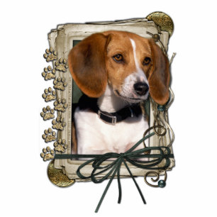 Alles Gute zum Geburtstag - Steintatzen - Beagle Freistehende Fotoskulptur