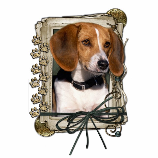 Alles Gute zum Geburtstag - Steintatzen - Beagle Freistehende Fotoskulptur (Vorne)