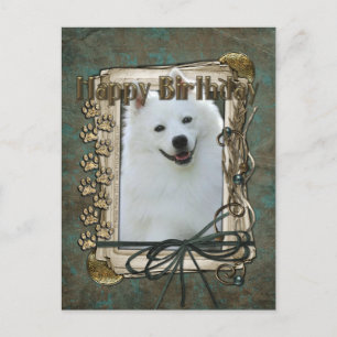 Alles Gute zum Geburtstag - Stone Paws - American  Postkarte