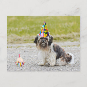 Alles Gute zum Geburtstag Süßer Hund mit Cupcake Postkarte