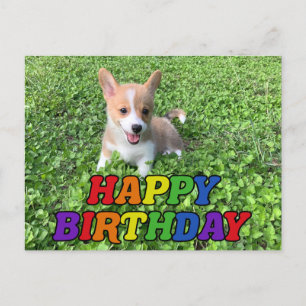 Alles Gute zum Geburtstag Süßes Corgi-Welpen-Foto Postkarte