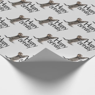 Alles Gute zum Geburtstag Tabby Katze Spaß Geschenkpapier