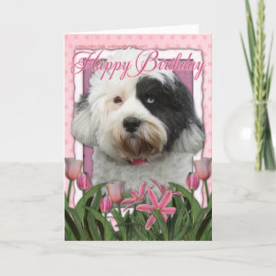 Alles Gute zum Geburtstag - tibetanisches Terrier Karte