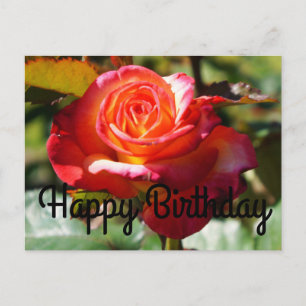 Alles Gute zum Geburtstag Traum wird wahr Rose #2  Postkarte