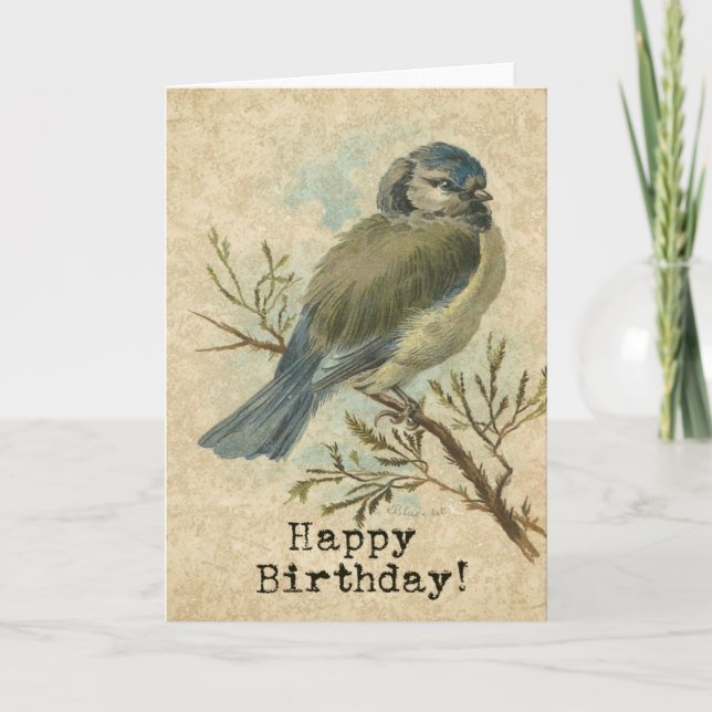 Alles Gute zum Geburtstag, Vintager Bluetit Bird Karte (Vorderseite)
