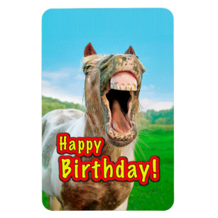 Alles Gute zum Geburtstag vom glücklichen Pferd Magnet