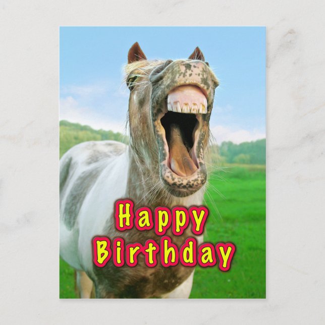 Alles Gute zum Geburtstag vom glücklichen Pferd Postkarte (Vorderseite)