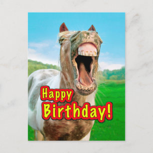 Alles Gute zum Geburtstag vom glücklichen Pferd Postkarte