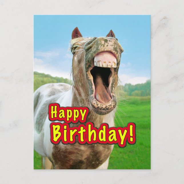 Alles Gute zum Geburtstag vom glücklichen Pferd Postkarte (Vorderseite)