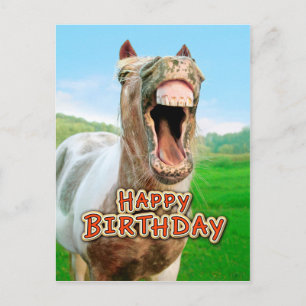 Alles Gute zum Geburtstag vom glücklichen Pferd Postkarte