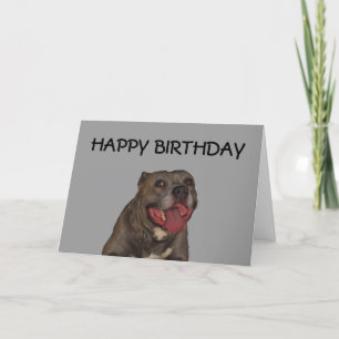 Alles Gute zum Geburtstag vom Hund Karte