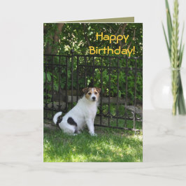 Alles Gute zum Geburtstag vom Hund Karte