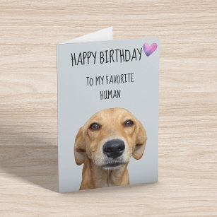 Alles Gute zum Geburtstag vom Hund zum liebsten Me Karte