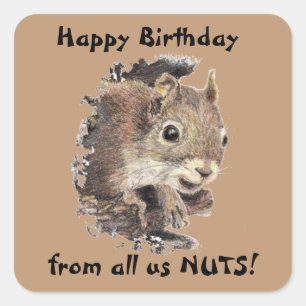 Alles Gute zum Geburtstag von allen wir NUTS Quadratischer Aufkleber