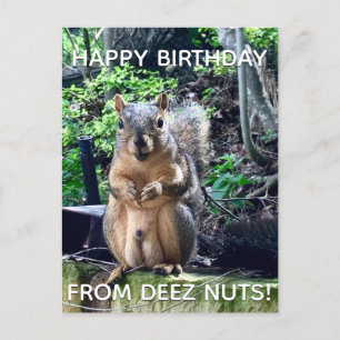 Alles Gute zum Geburtstag von Deez Nuts Lustige Ei Postkarte