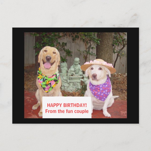 ALLES GUTE ZUM GEBURTSTAG! Von den Spaßpaaren Postkarte (Vorderseite)