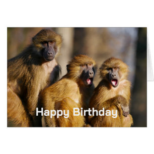 Alles Gute zum Geburtstag von der Gruppe wie die A
