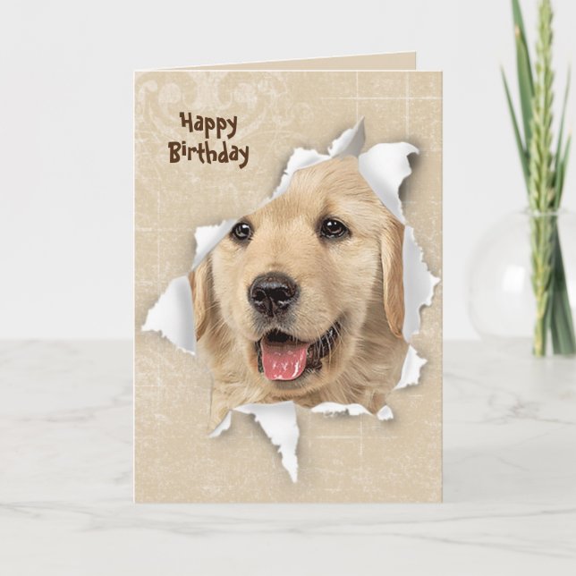 Alles Gute zum Geburtstag von Golden Retriever Karte (Vorderseite)