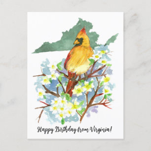 Alles Gute zum Geburtstag von Virginia Kardinal Do Postkarte
