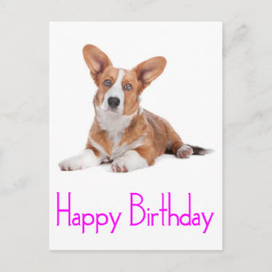 Alles Gute zum Geburtstag Welsh Corgi Welpe Hund P Postkarte