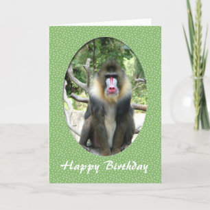 Alles Gute zum Geburtstag Zoo Tier Karte