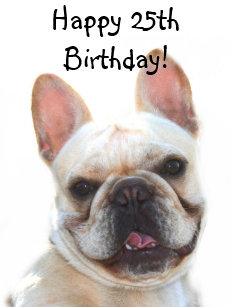 Pin Von Ursula Auf Mia Hund Geburtstag Geburtstagstiere Alles