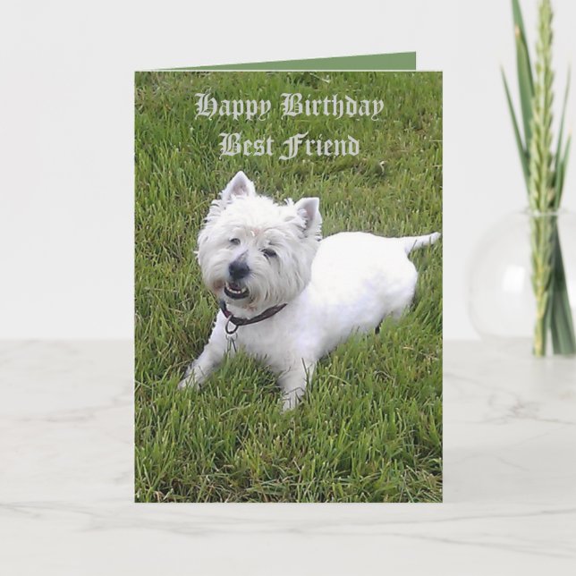 Alles- Gute zum Geburtstaglieber Freund Karte (Vorderseite)