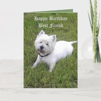 Alles- Gute zum Geburtstaglieber Freund Karte