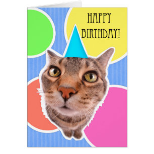 Alles- Gute zum GeburtstagMiezekatze-Katze