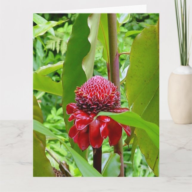 Alles Gute zum Geburtstagpostkarte von Hawaii Karte (Vorderseite)