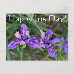 Alles Gute zum Iris Day! Postkarte