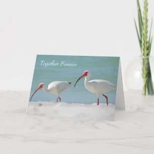 Alles Gute zum Jahrestag Schöner Vogel Karte