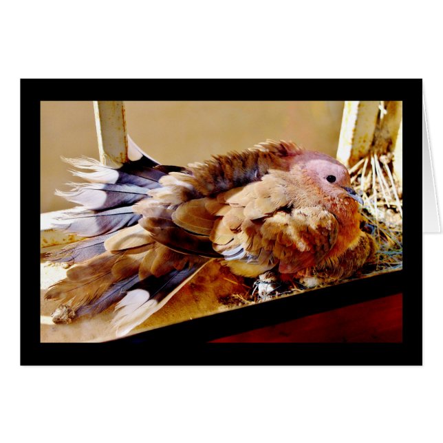 Alles Gute zum Muttertag! (Vorderseite (Horizontal))