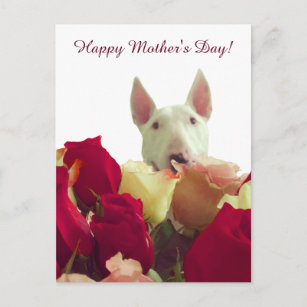 Alles Gute zum Muttertag! Bull Terrier mit Rose Postkarte