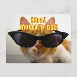 Alles Gute zum Muttertag Cool Cat in Sonnenbrille  Postkarte