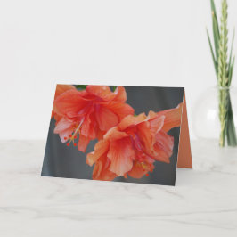 Alles Gute zum Muttertag! Hibiskus-Grußkarte Karte