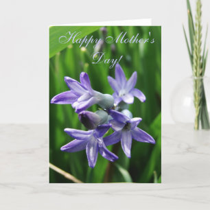 Alles Gute zum Muttertag! Karte