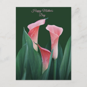 Alles Gute zum Muttertag Postkarte