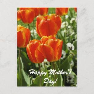 Alles Gute zum Muttertag Postkarte