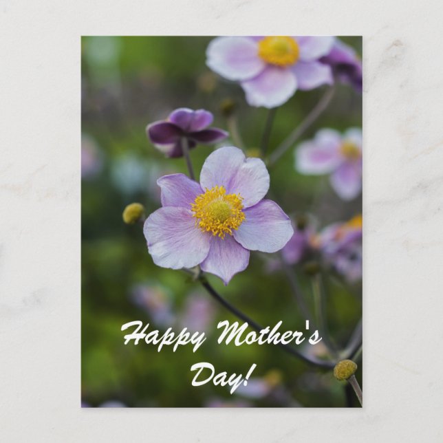 Alles Gute zum Muttertag Postkarte (Vorderseite)